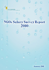 SurveyReport2010