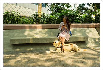 導 盲 犬 與 視 障 朋 友 的 故 事
